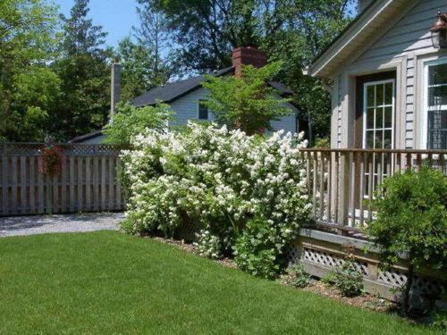 Antique Slumber Old Town Bed & Breakfast Niagara-on-the-Lake Εξωτερικό φωτογραφία